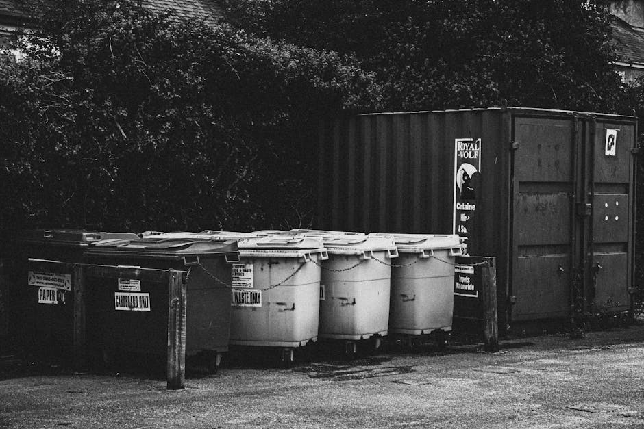 A row of waste collection bins and a large metal storage container situated outdoors on a paved surface, with dense foliage visible in the background. The waste bins are plastic, with some labeled for specific waste types such as paper and general rubbish, and are positioned side-by-side, with lids closed. The metal container is positioned behind the bins, featuring sliding doors, a weathered finish, and warning or service labels attached to its surface. The scene is illuminated by natural light, casting subtle shadows on the ground and on the containers. The overall setting suggests an area designated for private waste disposal or alternative rubbish removal, managed by a waste management company like Rubbish Collection Ilford, rather than a municipal recycling point. The environment reflects a typical outdoor refuse collection site, with functional storage for different types of waste awaiting collection or disposal, aligning with the service context of rubbish removal solutions in Ilford.
